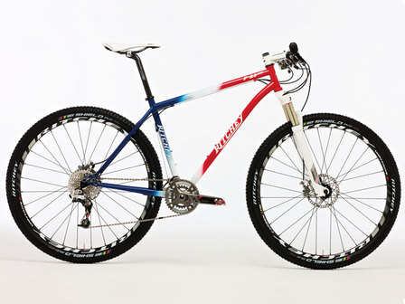 Ritchey P29er