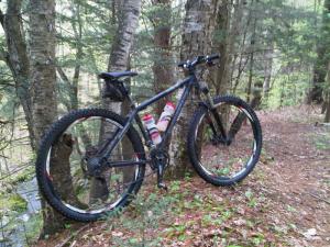 Motobecane Fantom 29